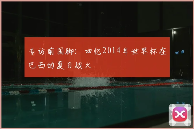 专访前国脚：回忆2014年世界杯在巴西的夏日战火