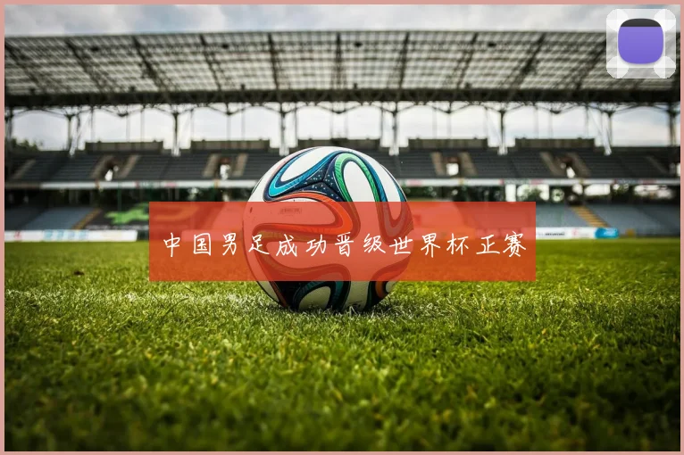 中国男足成功晋级世界杯正赛