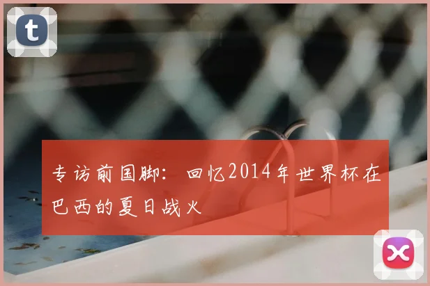 专访前国脚:回忆2014年世界杯在巴西的夏日战火