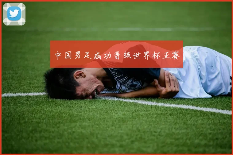 中国男足成功晋级世界杯正赛